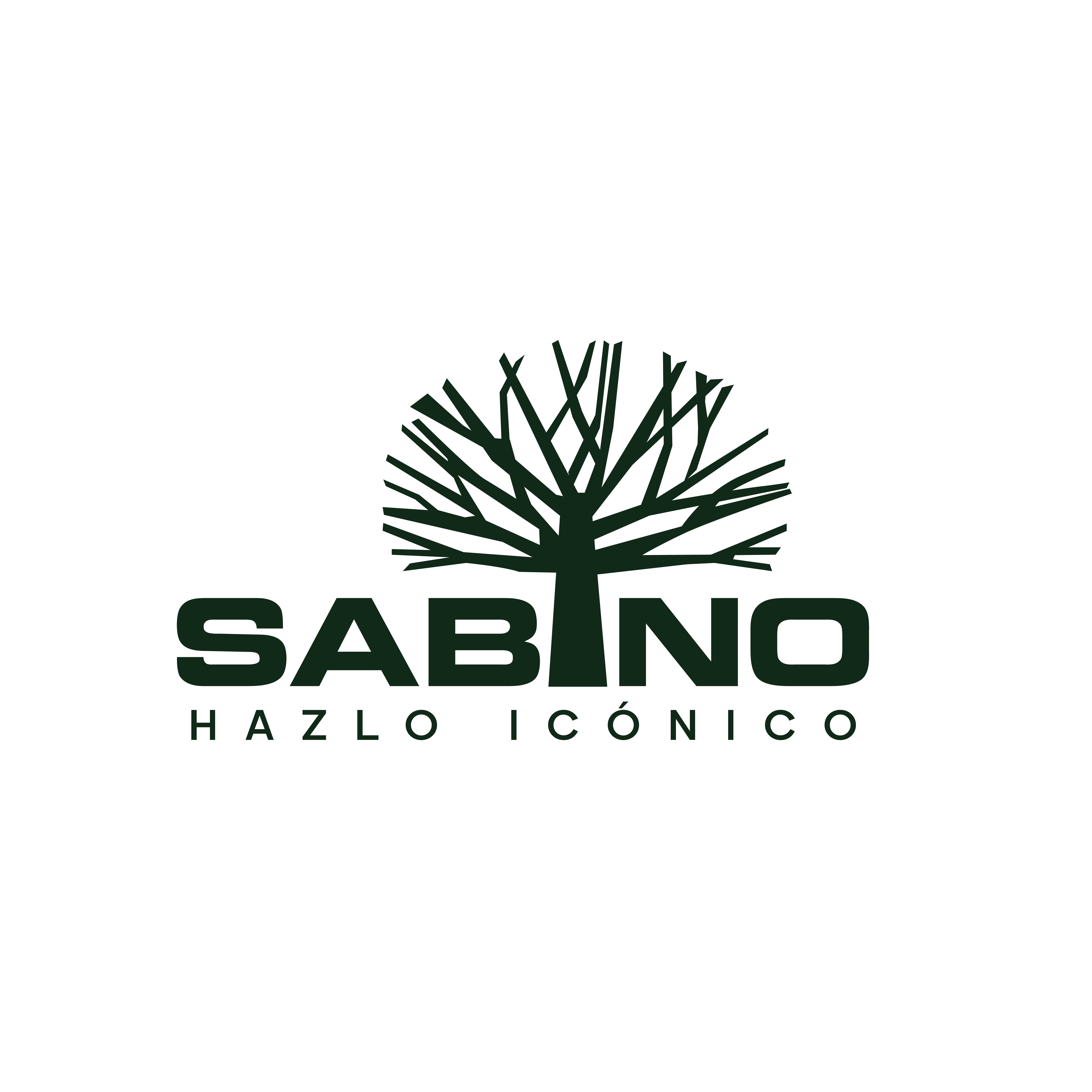 Sabinomx