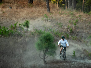 Copia de NayaritSabino_ARV-166