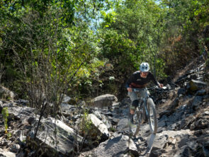 Copia de NayaritSabino_ARV-194